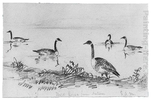 Wild Geese (from McGuire Scrapbook) painting - Shepard Alonzo Mount Wild Geese (from McGuire Scrapbook) art painting